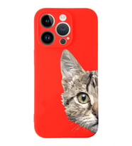 Apple iPhone 14 Pro  Lansman Kılıf Catface  Tasarımlı Altı Kapalı İçi Kadife Kaplı  Kapak (Şeffaf)