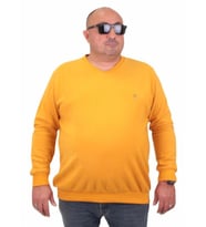 Starbattal Büyük Beden Selanik V Yaka Classic Sweat 23201 HARDAL