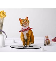 BK Gift Kişiye Özel Tam Boy Kedi Karikatürlü Ahşap Biblo Model-1 (Beyaz)