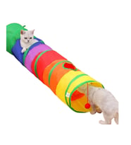 Düz Kedi Oyun Tüneli