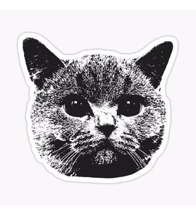 Araba Leptop için Kedi Oto Sticker Yapıştırması Etiket  17CM z5