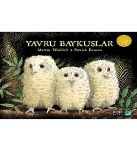 Yavru Baykuşlar