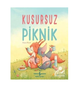 Kusursuz Piknik