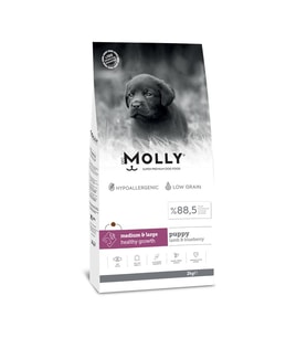 Molly Orta ve Büyük Irk Yavru Köpek Maması Kuzulu & Yaban Mersinli 2 Kg (Beyaz)