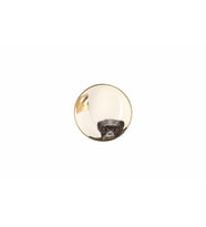 Porland Wild Life Monkey Kase 10 cm 04ALM006443