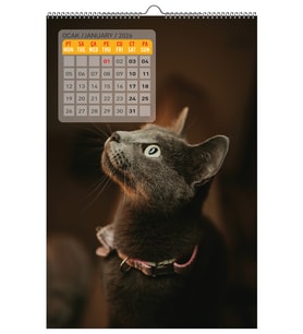 2026 DUVAR TAKVİMİ - KEDİ KONSEPT - 33X48 CM
