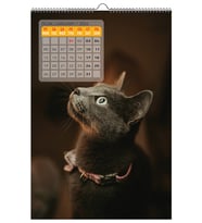 2026 DUVAR TAKVİMİ - KEDİ KONSEPT - 33X48 CM