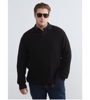 LCW Vision Kahverengi Polo Yaka Erkek Triko Kazak