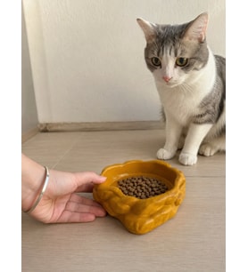 Eko Form Model Beton Kedi Köpek Mama ve Su Kabı (16cm*16cm*5.5cm) - Bronz