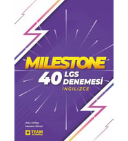TEAM MILESTONE LGS 40 İNGİLİZCE DENEMESİ