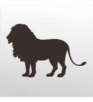 Folyo Sticker Aslan 130cm Uzunluk