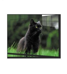 Kedi 2 Cam Tablo