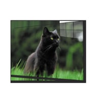 Kedi 2 Cam Tablo
