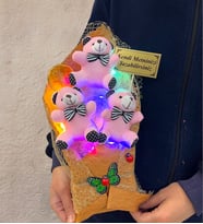 Renkli Led Işıklı Kişiye Özel Pembe Ayıcıklı Büyük Boy Peluş Ayıcık Buketi (Model 4)