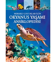 Meraklı Çocuklar İçin Okyanus Yaşamı Ansiklopedisi