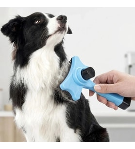 Durukar® Evcil Hayvan Kedi Köpek Tüy Toplayıcı Otomatik Tuşlu Pet Tarak