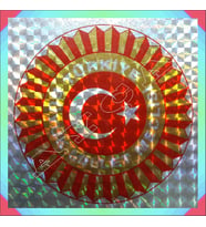 TBMM ARAÇ STİKIRI JANJANLI