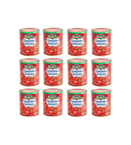 Burcu Domates Salçası 830 Gr X 12 Adet