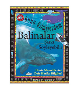 Balinalar Şarkı Söyleyebilir Deniz Memelilerine Dair Harika Bilgiler Teleskop Popüler Bilim