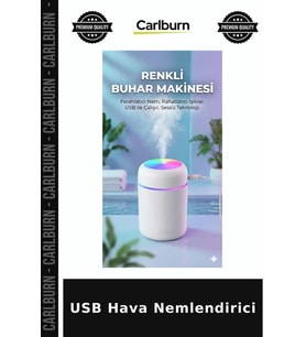 Özel Üretim Aromaterapi Gece Lambası Ofis Araç Masaüstü USB Hava Nemlendirici