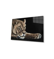 Aslan Cam Tablo 4mm Dayanıklı Temperli Cam (Çok Renkli)