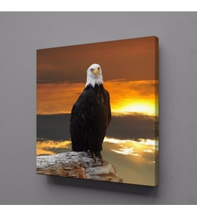 KARTAL KANVAS TABLO 30x30cm (Karışık)