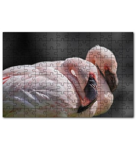 Cakapuzzle Uyuklayan Bir Çift Flamingo Puzzle Yapboz MDF (Ahşap) (120 Parça)