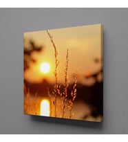 GÜN DOĞUŞU VE BATIŞI ÇİÇEKLER KANVAS TABLO 40x40cm (Karışık)