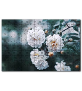 Cakapuzzle Dalda Beyaz Çiçekler Flu Arkaplan Puzzle Yapboz MDF (Ahşap) (120 Parça)