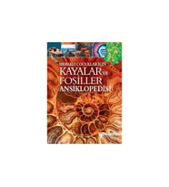 Meraklı Çocuklar İçin Kayalar Ve Fosiller Ansiklopedisi Bilgiyolu Kültür