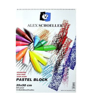 Alex Schoeller Artist Pastel Fon Blok 220 gr. 35x50 cm. 15 Sayfa 