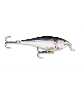Rapala)