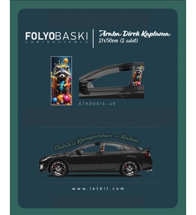 Araba Etiketleri, Tuning Kaplama, Direk Folyosu - Galaksi Koruyucuları, Rakun