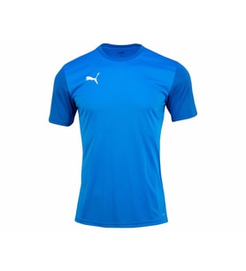 Puma Teamgoal Erkek Futbol Tişörtü 65648402 Mavi