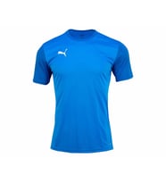 Puma Teamgoal Erkek Futbol Tişörtü 65648402 Mavi