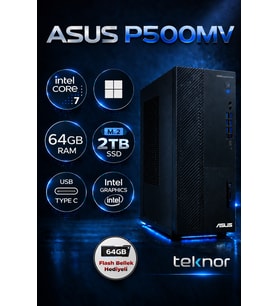 Asus Expertcenter P500MV Intel Core 7 240H 64 GB 2 TB SSD WIN 11 PRO Masaüstü Bilgisayar & Teknor USB Bellek