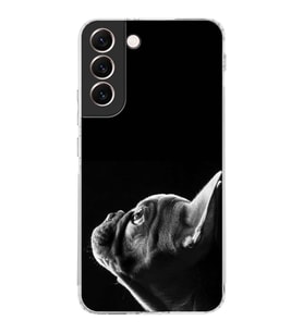PrintiFy Galaxy S22 Plus ile Uyumlu Köpek 1 Kamera Korumalı Şeffaf Kılıf