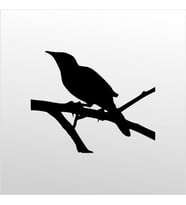 Folyo Sticker Karga 70cm Uzunluk