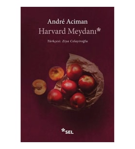 Harvard Meydanı