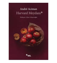 Harvard Meydanı