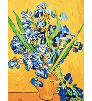 Van Gogh Süsen Sayılarla Boyama Seti 40x50 cm (Tuvale Gerili)