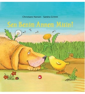 Sen Benim Annem Misin?