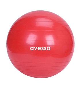 AVESSA XPT-55-RED PLATES TOPU KIRMIZI 55 CM \800 2 KRLY6734