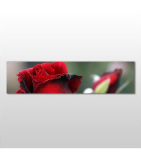 Kırmızı Gül Kanvas Tablo 180x60cm (Karışık)