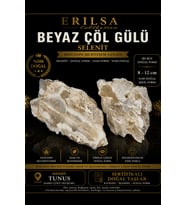 Sertifikalı Beyaz Çöl Gülü Selenit Taşı Kütle - 8-12 cm İri Boy Doğal Ham Kristal Koleksiyonluk