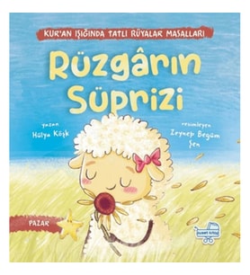 Rüzgarın Sürprizi