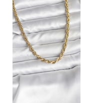 14K Gold Renk Kaplama Burgu Model CM Kadın Kolye - TJ-BKO10729