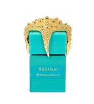 Tiziana Terenzi Abbrivio Extrait de Parfum 100 ml Unisex Parfüm