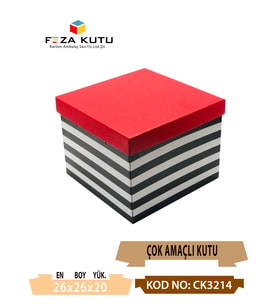 26x26x20 Çok Amaçlı Kutu Karton Kutu Pasta Kutusu (10 Adet)