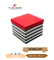 26x26x20 Çok Amaçlı Kutu Karton Kutu Pasta Kutusu (10 Adet)